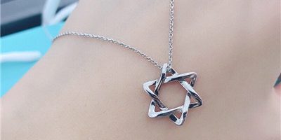 Light luxury girlfriend clavicle necklace (4)